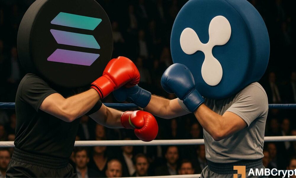 SOL crypto treasury gains momentum, but is it enough to outpace XRP in Q4?