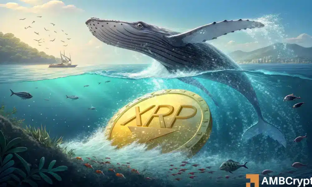 XRP sell-off pushes price below $3 – Is the rally over?